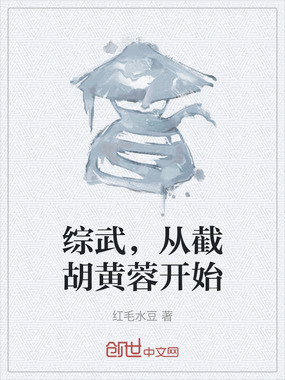 综武，从截胡黄蓉开始在线阅读