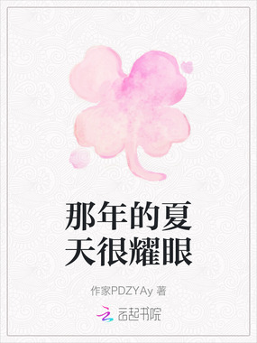 那年的夏天很耀眼在线阅读