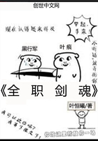全職劍魂在線閱讀