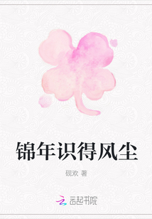 錦年識得風塵