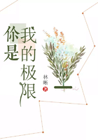 你是我的极限