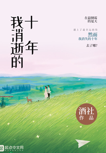 我消逝的十年