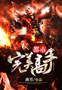 都市完美高手