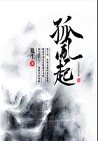 孤風起在線閱讀