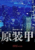 原装甲在线阅读