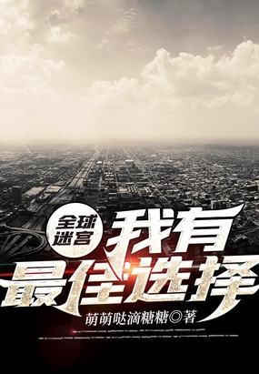 全球迷宫：我有最佳选择在线阅读