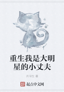 重生我是大明星的小丈夫
