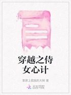 穿越之侍女心計在線閱讀