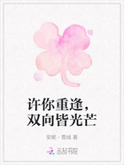 許你重逢，雙向皆光芒在線閱讀