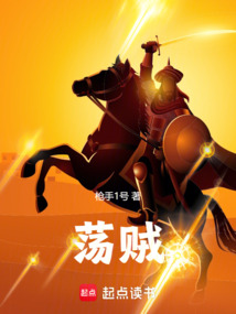 荡贼在线阅读