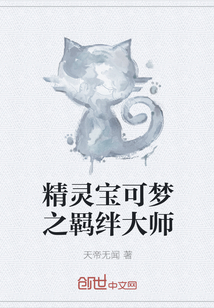 精靈寶可夢之羈絆大師