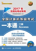 全国计算机等级考试一本通：二级Access