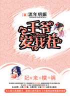 妃來(lái)橫禍：王爺愛(ài)找茬在線閱讀