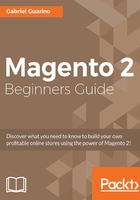 Magento 2 Beginners Guide在線閱讀