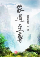 农道至尊在线阅读