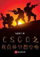 CSGO之我真的只想空枪在线阅读