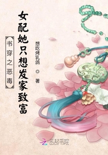 書穿之惡毒女配她只想發家致富