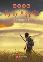 精灵降临:传奇训练家在线阅读