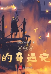 麥科克的奇遇記