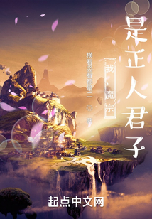 我，魔宗，是正人君子