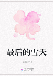 最后的雪天