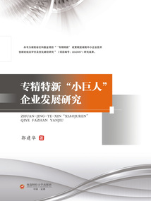 專(zhuān)精特新“小巨人”企業(yè)發(fā)展研究
