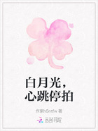 白月光,心跳停拍在线阅读