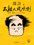 不被大风吹倒在线阅读
