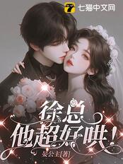 徐总，他超好哄！在线阅读