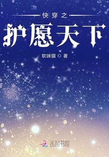 快穿之護愿天下