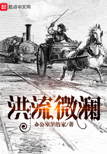 洪流微瀾