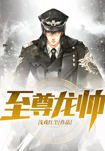 至尊龍帥