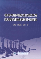 单井冲击与综合示踪方法探测堤坝隐患的理论与实践