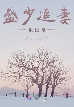 盛少追妻很困难在线阅读