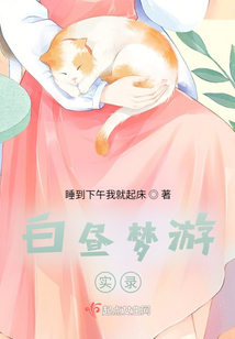 白晝夢游實錄