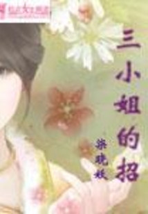 三小姐的招在线阅读