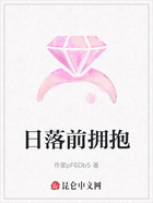 日落前拥抱在线阅读