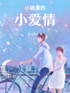 小城里的小爱情在线阅读