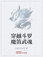 穿越斗罗魔笛武魂在线阅读