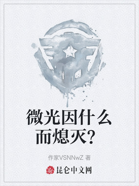 微光因什么而熄灭？在线阅读