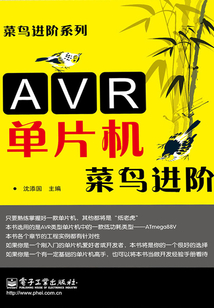 AVR單片機菜鳥進階