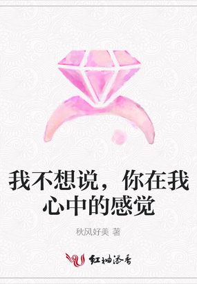 我不想说，你在我心中的感觉在线阅读