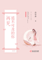 再见遥不可及的你