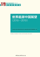 世界能源中国展望：2018—2019在线阅读