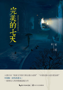 完美的七天