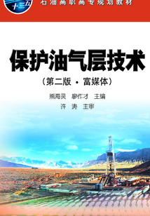 保護油氣層技術(shù):富媒體