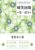 啼笑因緣·第一部分（張恨水經典言情）在線閱讀