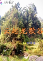 云起龍歌谷在線閱讀
