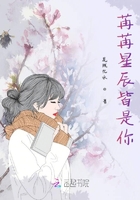 苒苒星辰皆是你