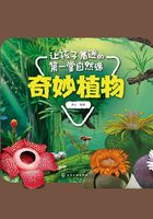 让孩子着迷的第一堂自然课：奇妙植物